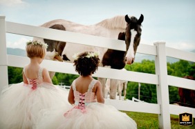 Documentary-style image of flower girls admiring horses on the property at Stone Tavern Farm, Roxbury NY, captured on the wedding day before the ceremony, in a tranquil outdoor setting.